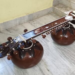 Vichitra veena
