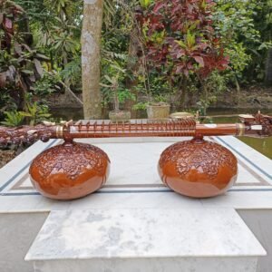 Rudra Veena